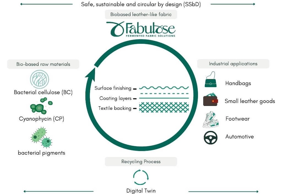 Infographic of Fabulose © 2026 Source: Fabulose project 