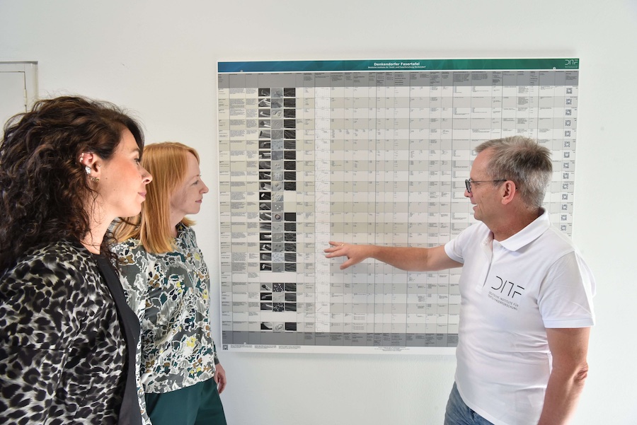 All characteristics at a glance: The Denkendorf Fiber Chart. © 2025 DITF