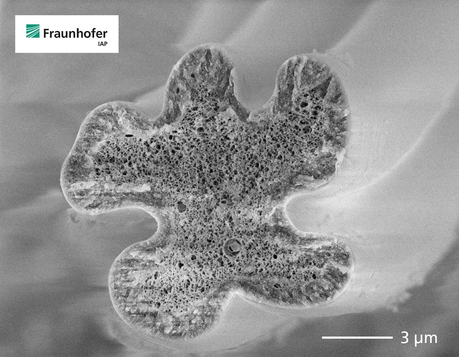 Freshly spun cellulose fiber with a lobulated cross-section under the scanning electron microscope (cryo-transfer SEM). The porous structure becomes denser during drying, the shape is retained during carbonization. © 2025 Fraunhofer IAP
