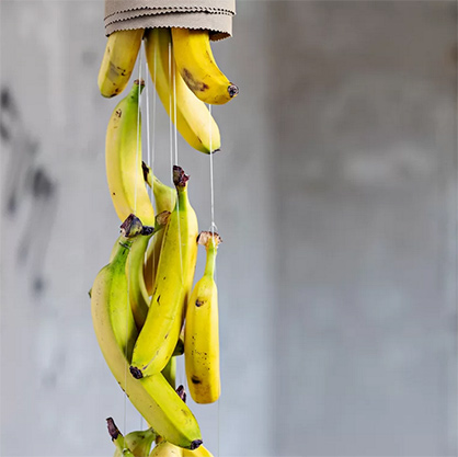 Bananatex / Credits: SPOTT trends & business for Heimtextil